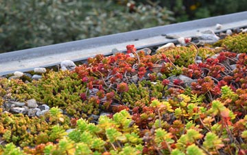 the cost of Easthope green roof installation